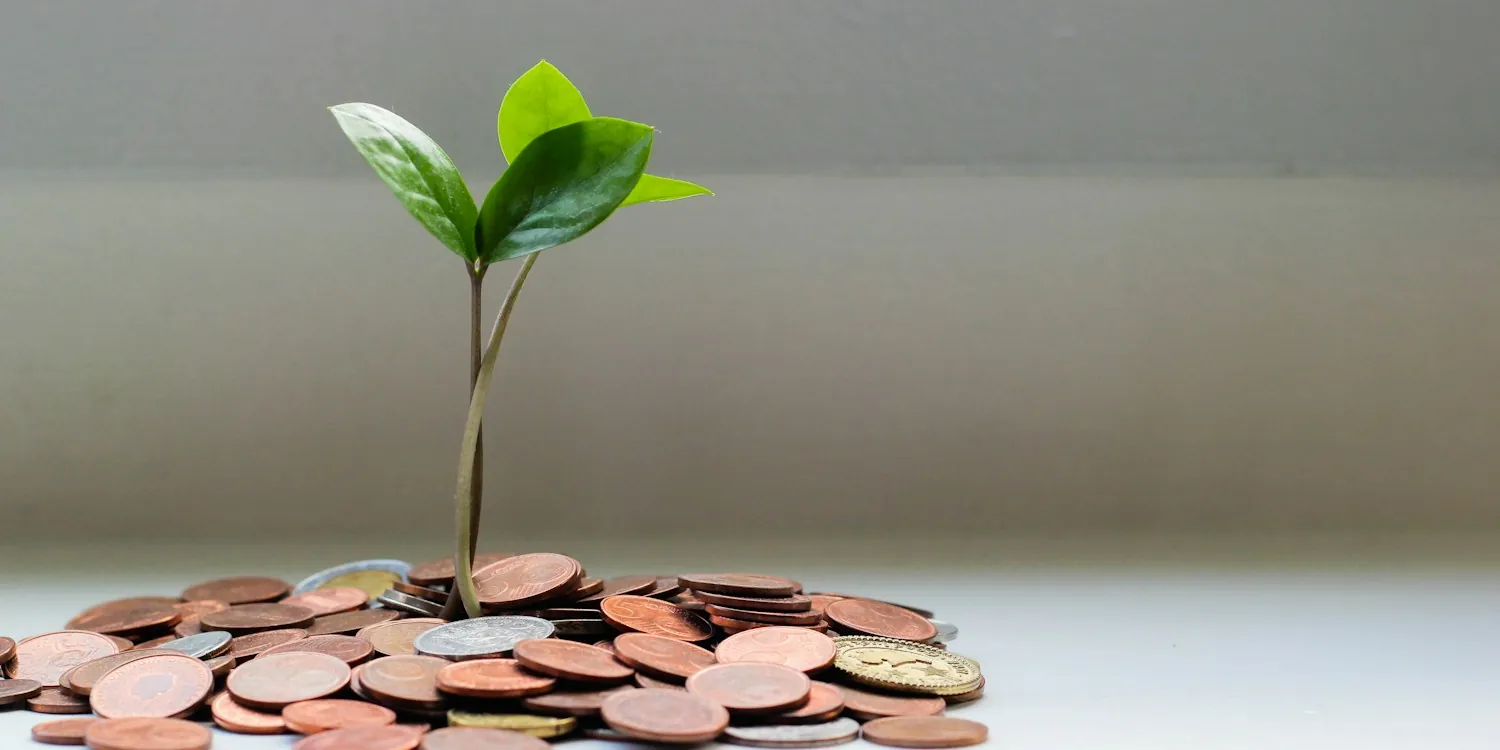Law Firm Service Trust and Company Borrowing Structures